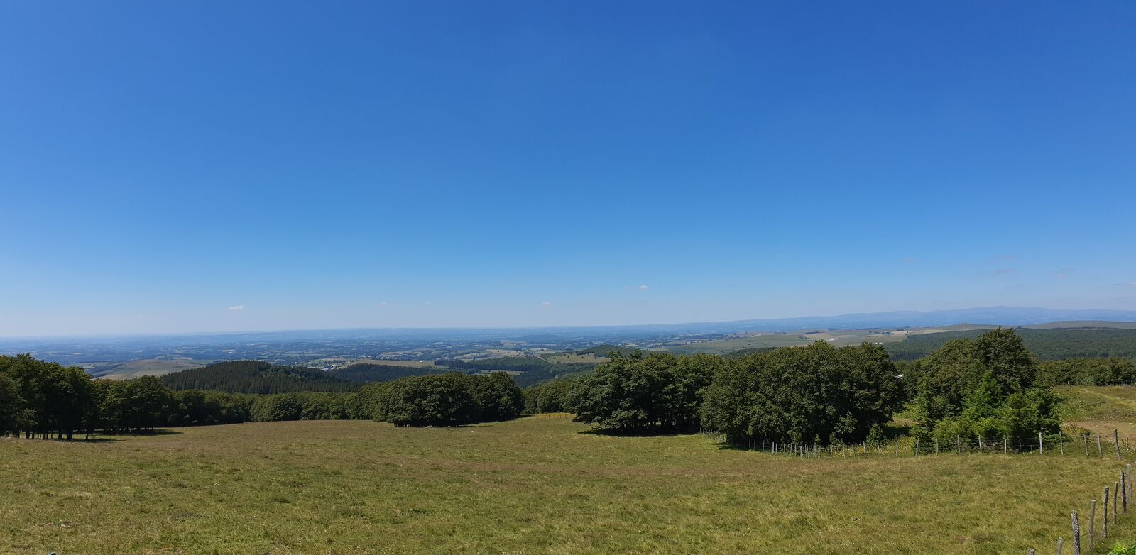 Hêtraie sur le plateau de l'Aubrac
