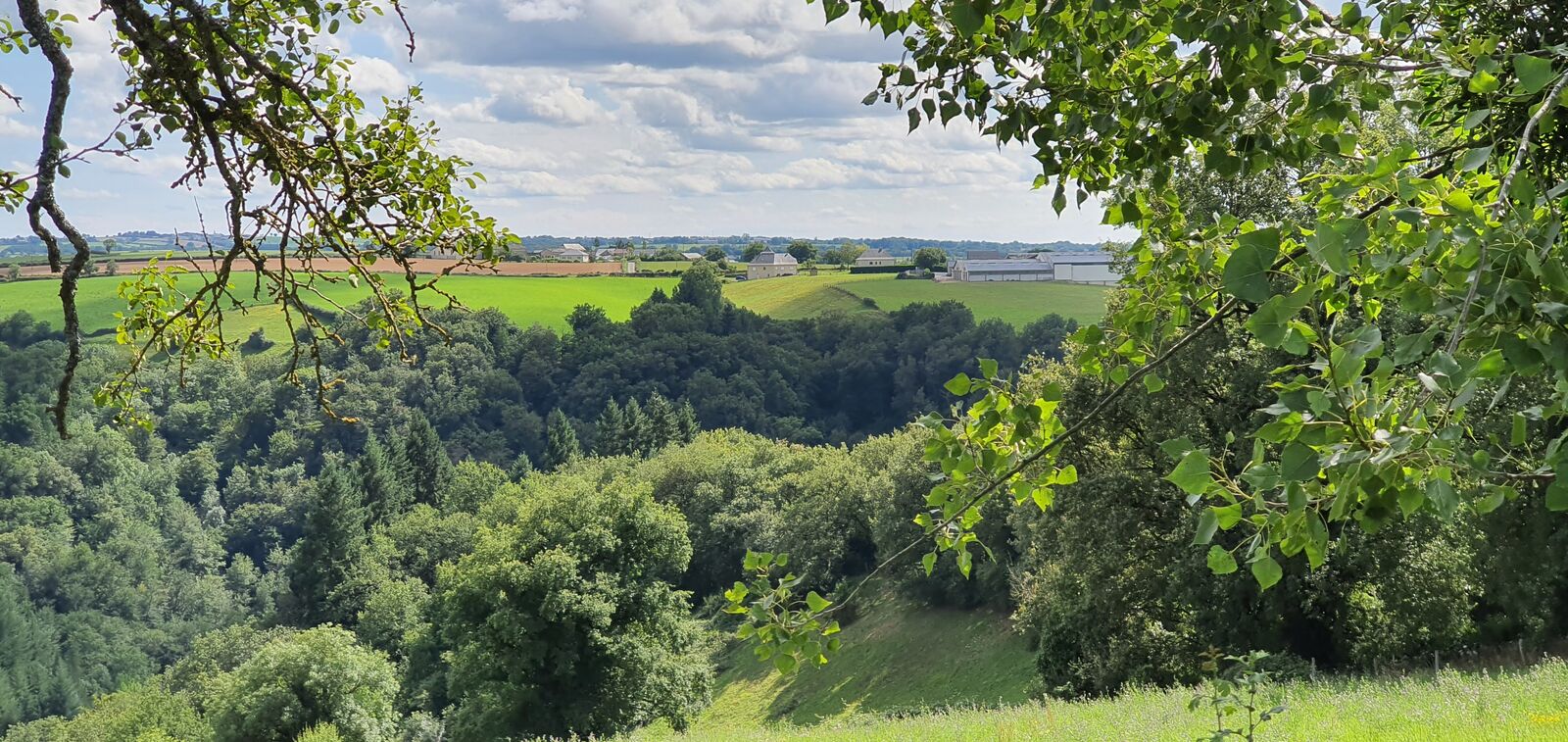 Vue sur la campagne lors d'une balade de proximité