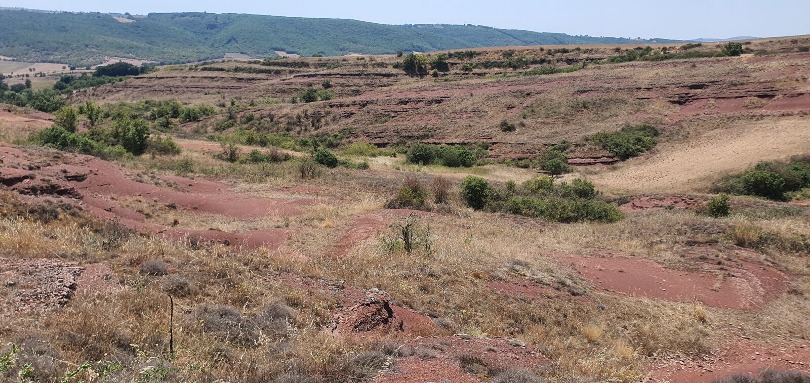 Paysage du Rougier de Camarès