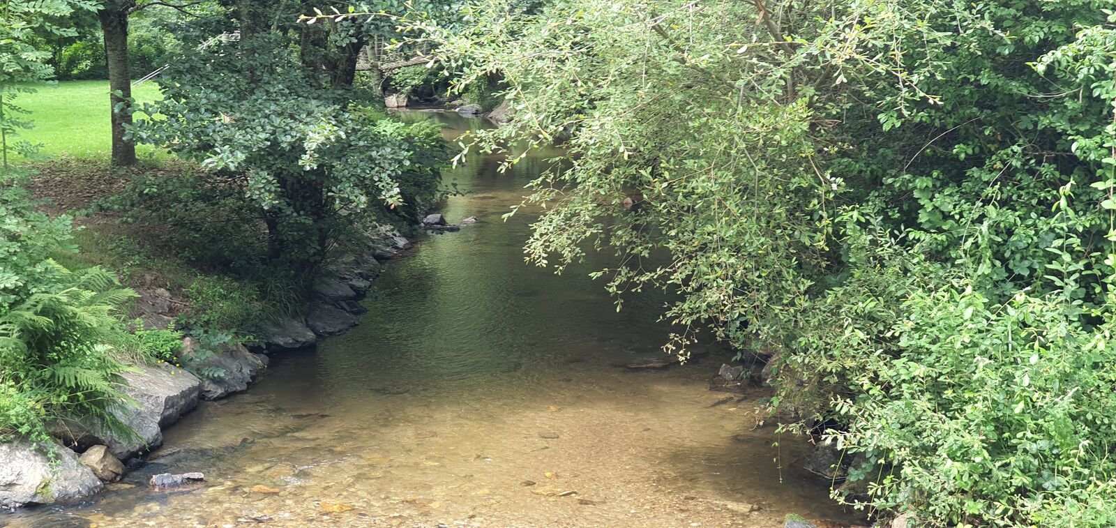 Ruisseau ombragé près du domaine