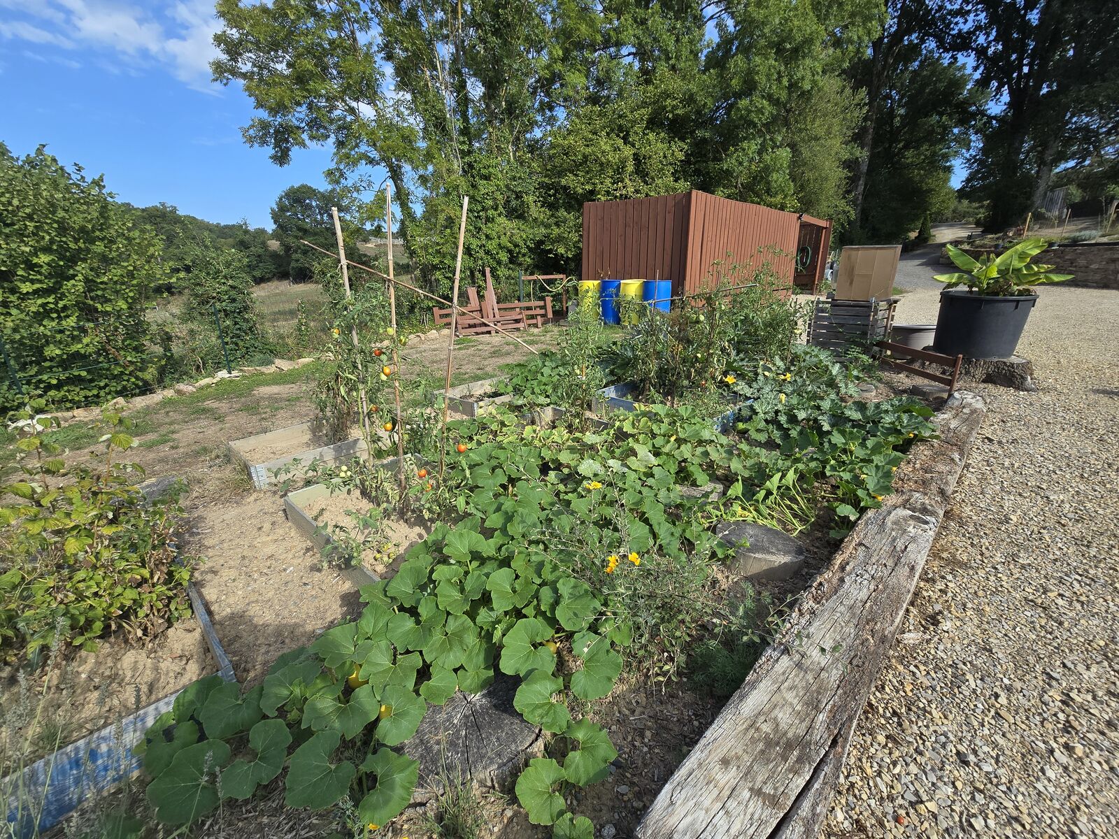 Le potager du domaine